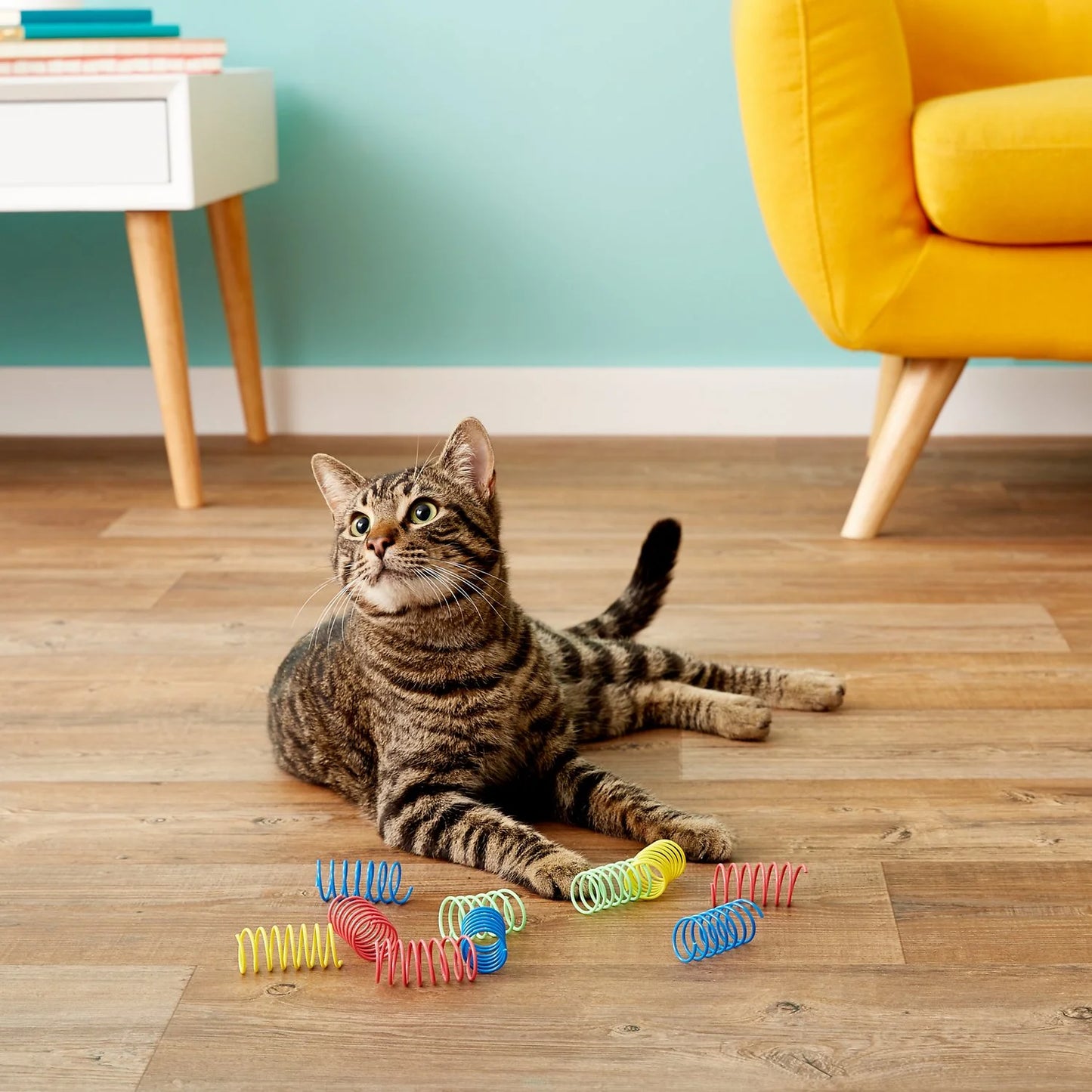 Spot Wide Colorful Springs Cat Toy