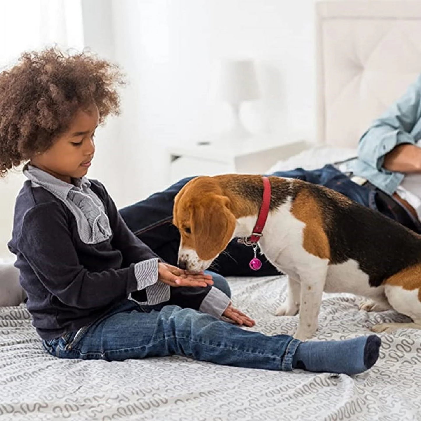 10Pcs Pet Collar Bells Pet Bells for Dog Cat Collar Pet Collar Accessories