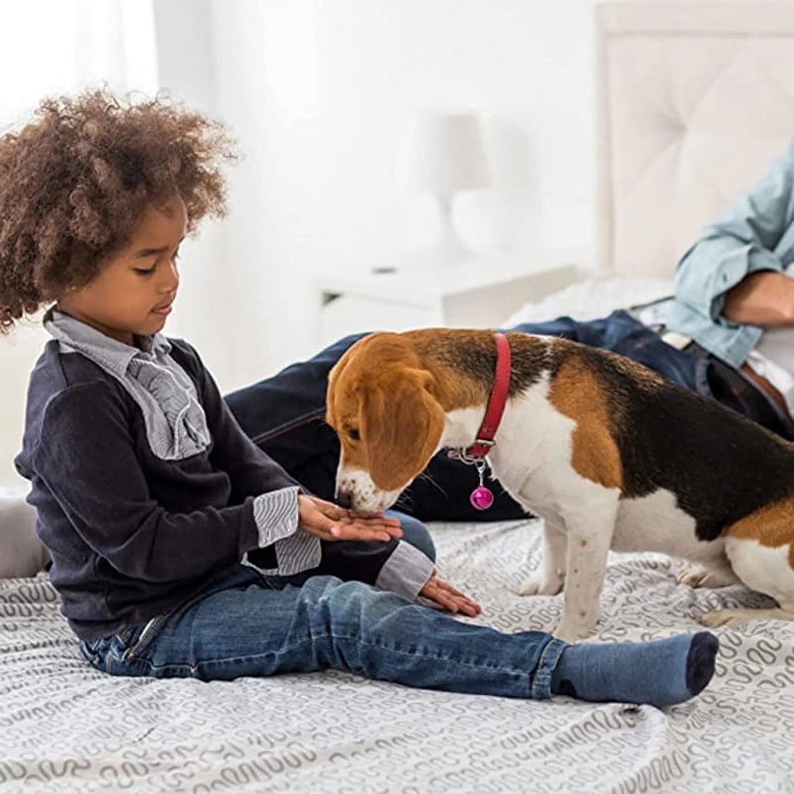 10Pcs Pet Collar Bells Pet Bells for Dog Cat Collar Pet Collar Accessories