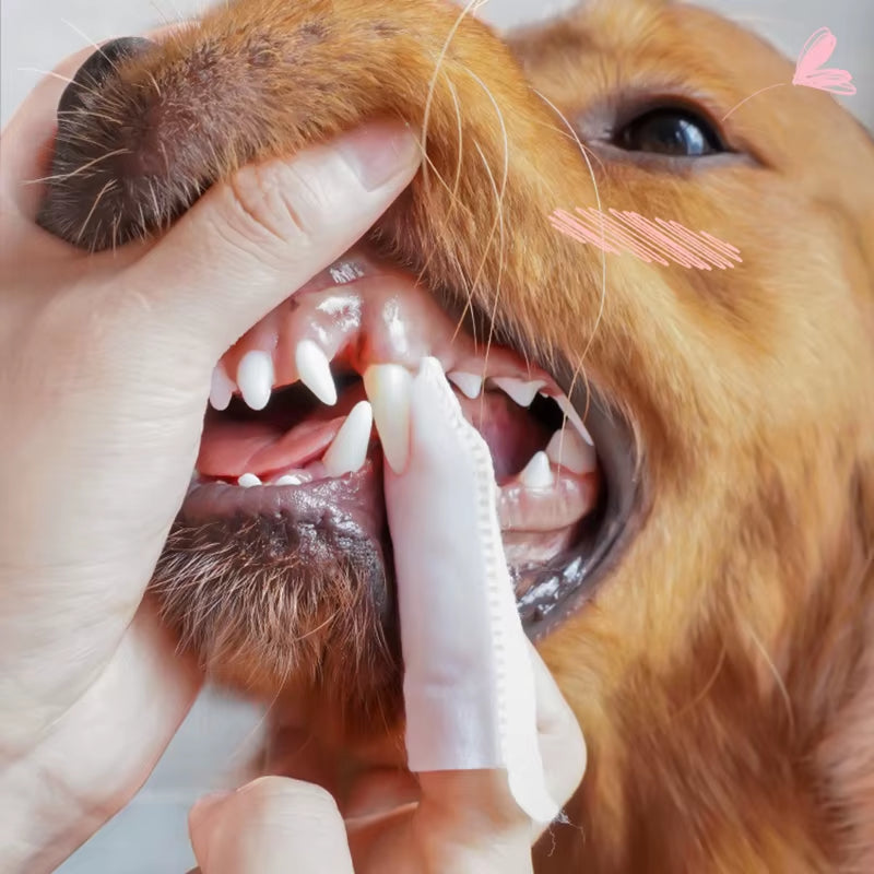 Pet Dental Cleansing Finger Set 50 Cat Finger Wipes Oral Cavity Cleaning Wipes Tooth Stone Deodorant Pet Cleaning Supplies